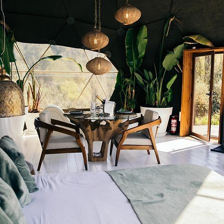 Domo Suites Masia Cal Geperut بادالونا المظهر الخارجي الصورة
