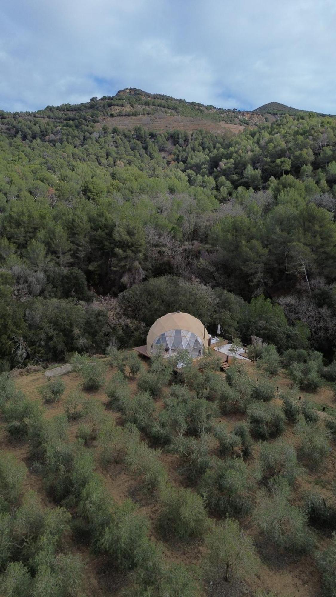 Domo Suites Masia Cal Geperut بادالونا المظهر الخارجي الصورة